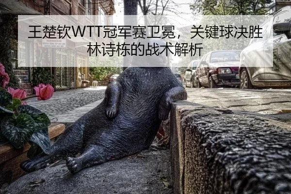 王楚钦WTT冠军赛卫冕，关键球决胜林诗栋的战术解析